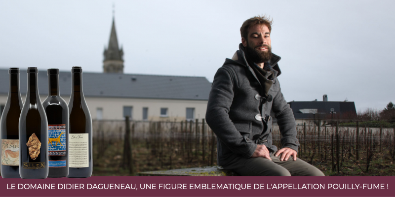 The Didier Dagueneau estate, an emblematic figure of the Pouilly-Fumé appellation!